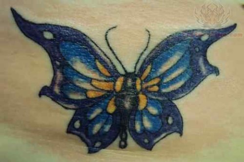 Blue Butterfly Tattoo On Lowerback